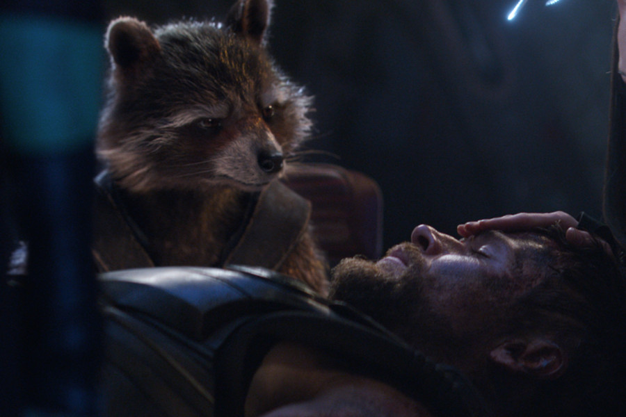 ¿Por qué Thor llamó a Rocket ‘liebre’ en Avengers: Infinity War?