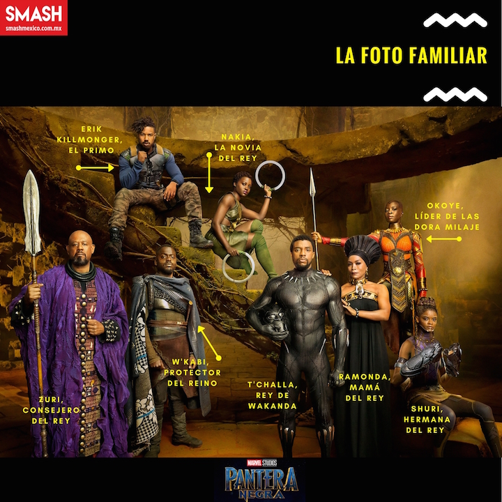 black-panther-el-superheroe-que-habla-por-todos-los-ciudadanos-del-mundo-4